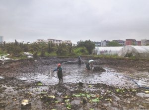 大同河道鱼塘清淤